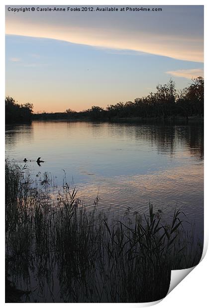 Murray River Sunset Series 1 Print by Carole-Anne Fooks