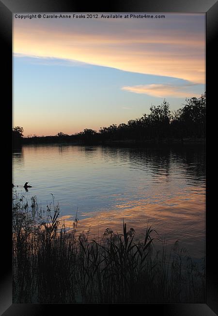 Murray River Sunset Series 1 Framed Print by Carole-Anne Fooks