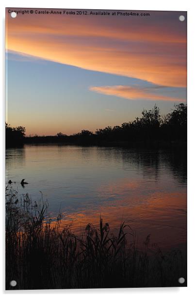 Murray River Sunset Series 1 Acrylic by Carole-Anne Fooks