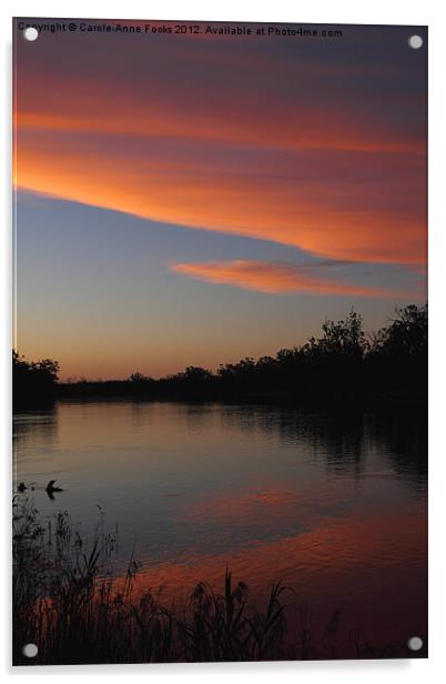 Murray River Sunset Series 1 Acrylic by Carole-Anne Fooks