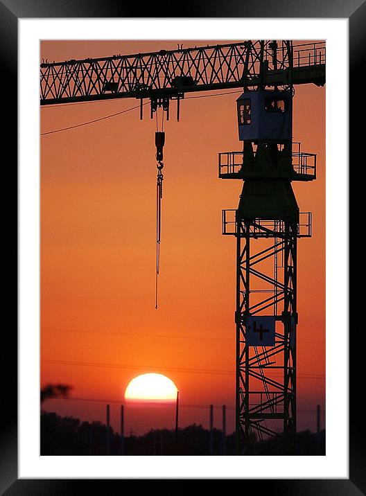 Crane at Sunset Framed Mounted Print by Andy Evans Photos