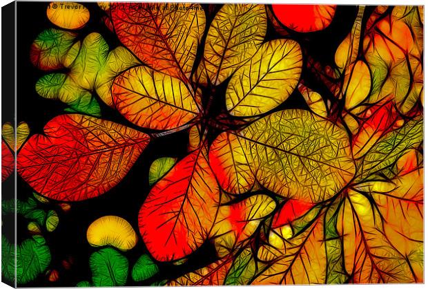 Autumn Leaves Canvas Print by Trevor Kersley RIP