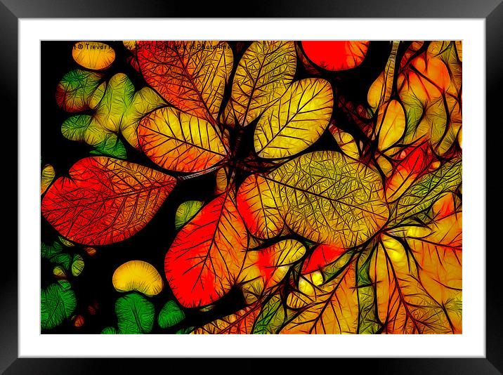 Autumn Leaves Framed Mounted Print by Trevor Kersley RIP