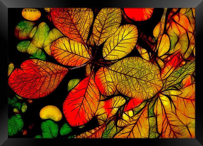 Autumn Leaves Framed Print by Trevor Kersley RIP