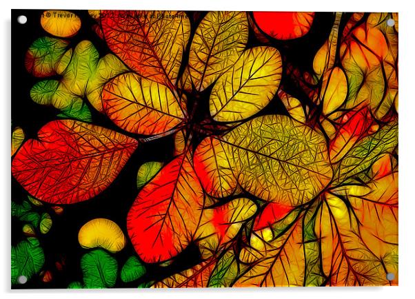 Autumn Leaves Acrylic by Trevor Kersley RIP