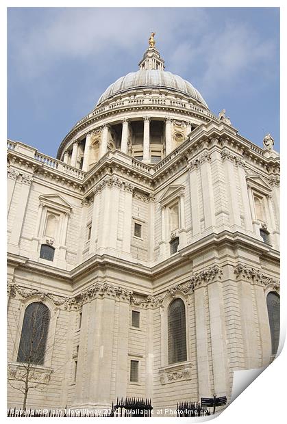Saint Paul's Cathedral Print by Iain McGillivray