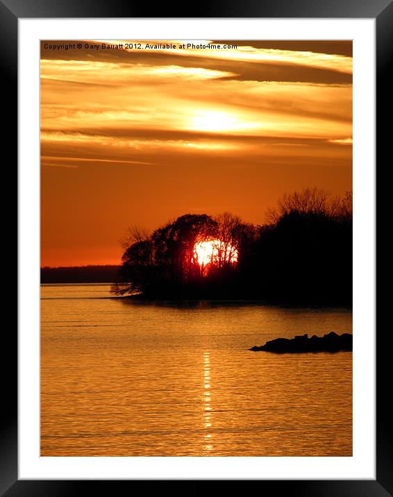 Sunset In The Woods Framed Mounted Print by Gary Barratt