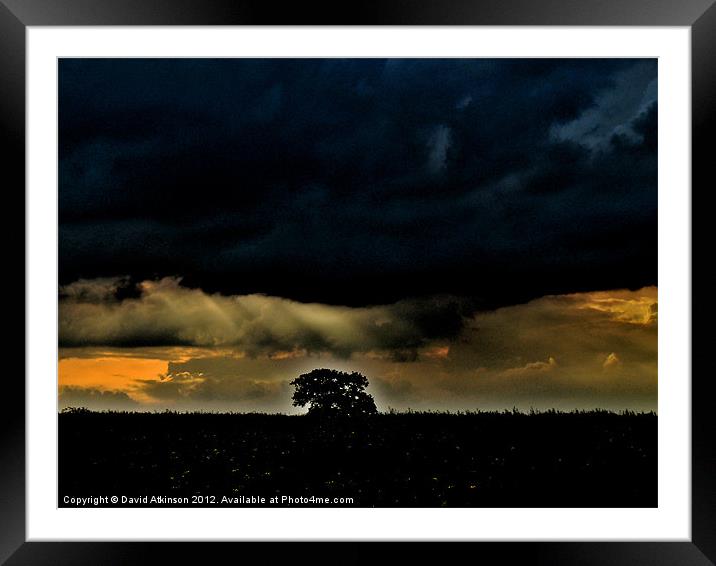 GLOWING TREE UNDER STORMY SKY Framed Mounted Print by David Atkinson