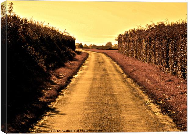 The Yellow Road Canvas Print by Caroline Williams