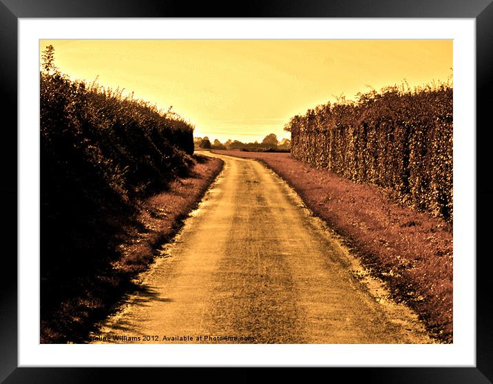 The Yellow Road Framed Mounted Print by Caroline Williams