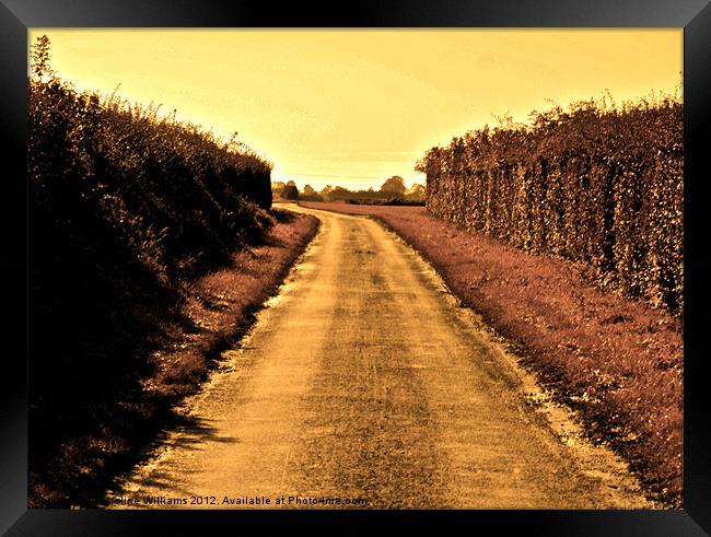 The Yellow Road Framed Print by Caroline Williams