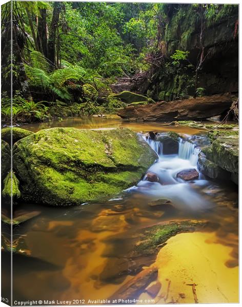 Woodford's Gem Canvas Print by Mark Lucey