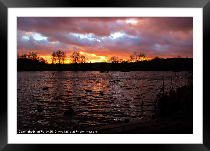 Evening Lake Framed Mounted Print by Ian Purdy