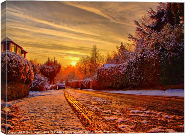 A Touch Of Frost Canvas Print by Colin Williams Photography