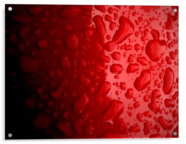 water on red Acrylic by Heather Newton