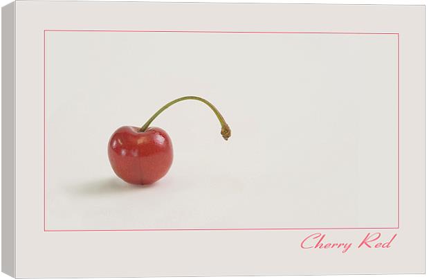 Cherry Red Canvas Print by Peter Oak