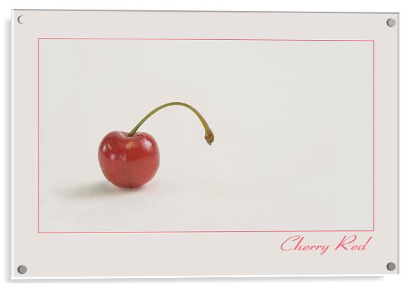 Cherry Red Acrylic by Peter Oak