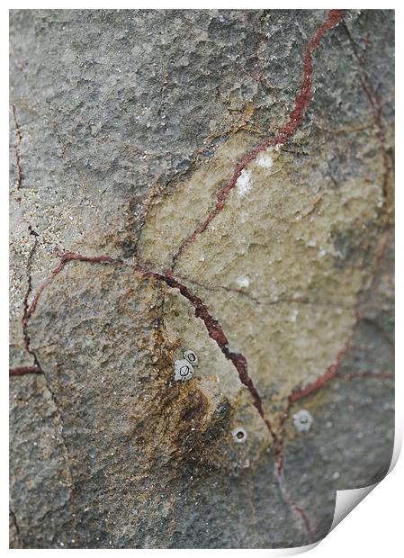 Patterned rocks by the sea Print by J Lloyd