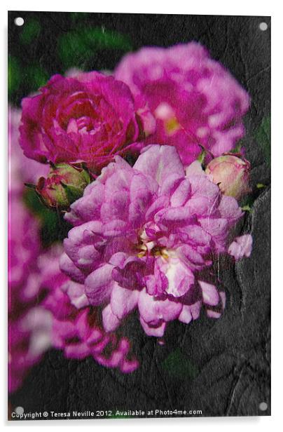 Miniature pink rose with texture Acrylic by Teresa Neville