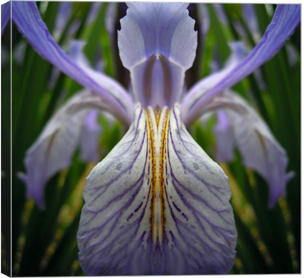 illusions of the iris Canvas Print by Heather Newton