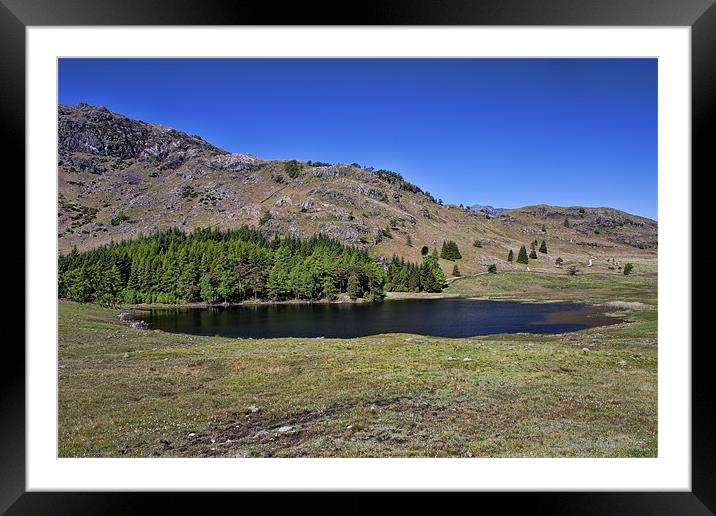 Blea Tarn Framed Mounted Print by Roger Green