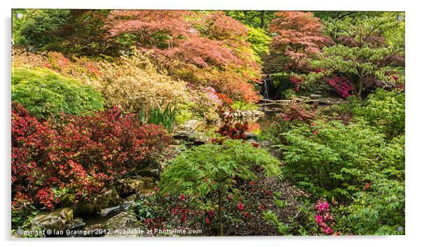 Japanese Garden Acrylic by Ian Grainger