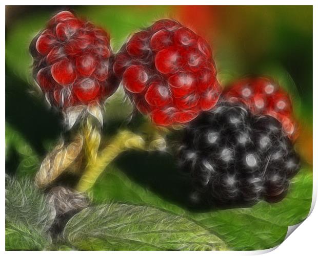Summer Fruits Print by Paul Holman Photography