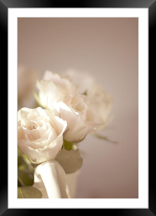Pale Roses Framed Mounted Print by Victoria Davies