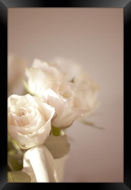 Pale Roses Framed Print by Victoria Davies