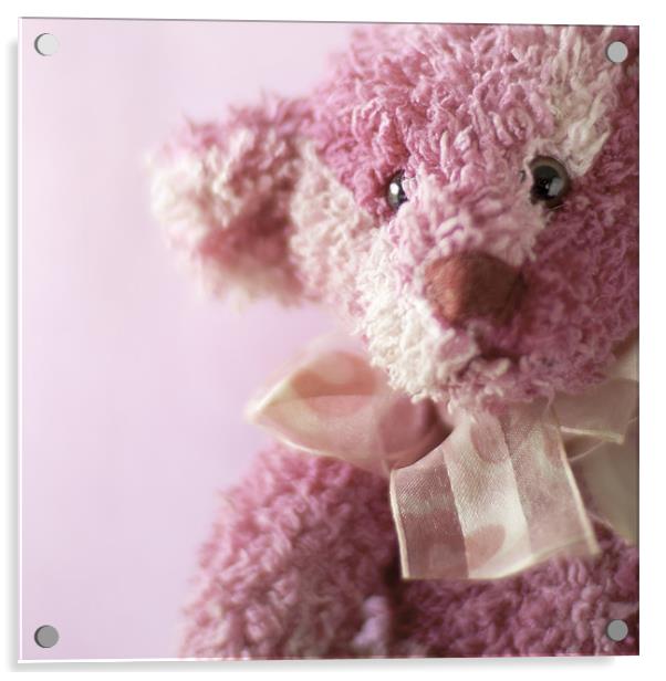 Little Pink Bear Acrylic by Victoria Davies