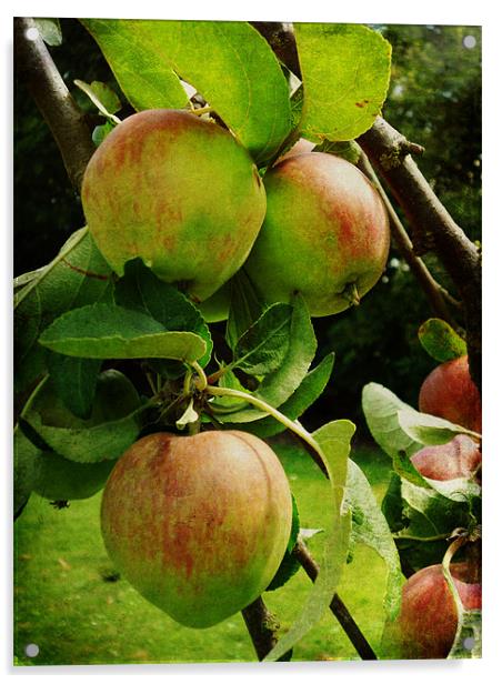 Apple Tree Acrylic by Sarah Couzens