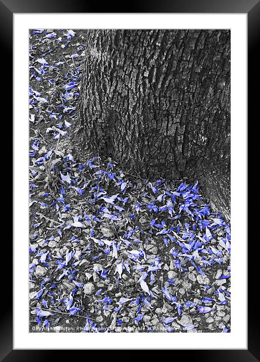 Purple touches 2 Framed Mounted Print by Alfani Photography