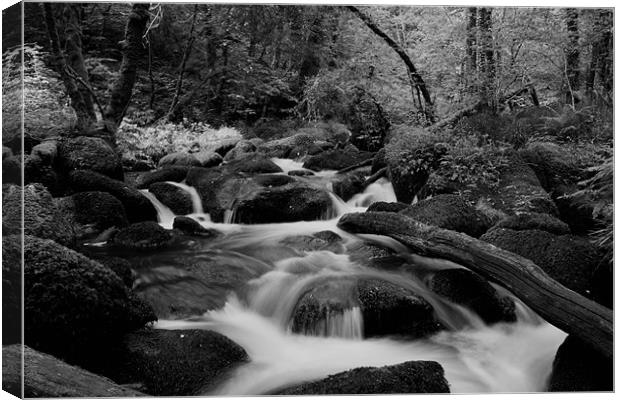 Becky Falls Black and White Canvas Print by Dean Messenger