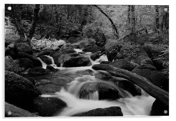 Becky Falls Black and White Acrylic by Dean Messenger