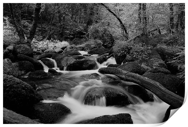 Becky Falls Black and White Print by Dean Messenger