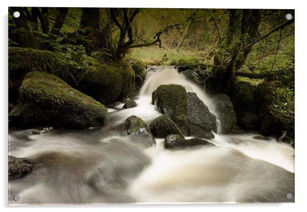 Becky Falls, Dartmoor Acrylic by Dean Messenger