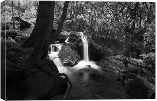Becky Falls Pool Black and White Canvas Print by Dean Messenger