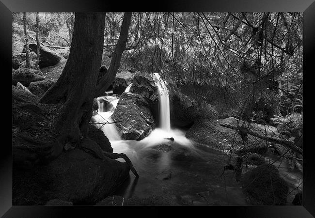 Becky Falls Pool Black and White Framed Print by Dean Messenger