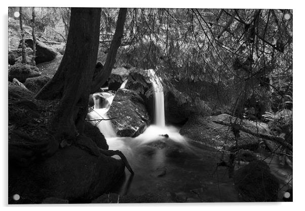 Becky Falls Pool Black and White Acrylic by Dean Messenger