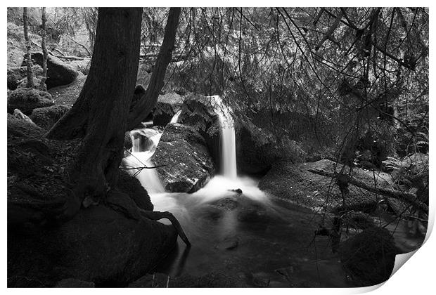 Becky Falls Pool Black and White Print by Dean Messenger