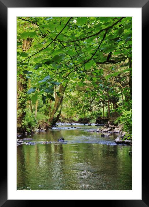 Graig - Neddfwch River. Framed Mounted Print by Becky Dix