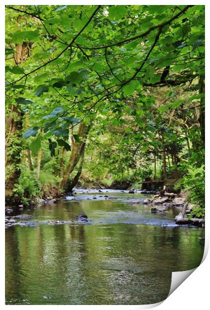 Graig - Neddfwch River. Print by Becky Dix