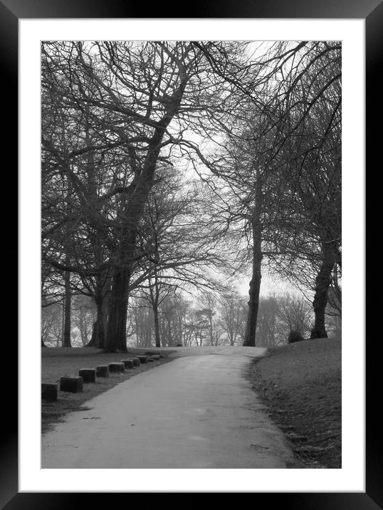 A Tree lined Path. Framed Mounted Print by Becky Dix