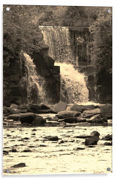 Graig - Neddfwch Falls. Acrylic by Becky Dix