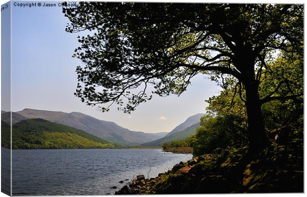 Sheltered At Ennerdale Canvas Print by Jason Connolly