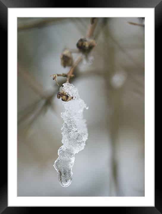 Melting Snow Framed Mounted Print by J Lloyd
