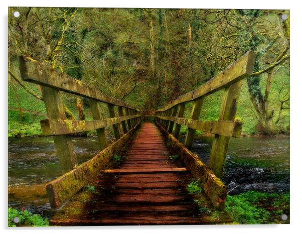 Bridge over River Wye Acrylic by Steven Blood