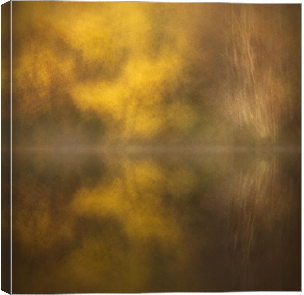 Abstract Birch Reflections Canvas Print by Natures' Canvas: Wall Art  & Prints by Andy Astbury
