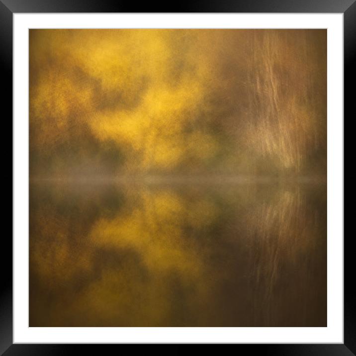 Abstract Birch Reflections Framed Mounted Print by Natures' Canvas: Wall Art  & Prints by Andy Astbury