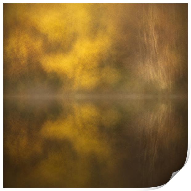 Abstract Birch Reflections Print by Natures' Canvas: Wall Art  & Prints by Andy Astbury